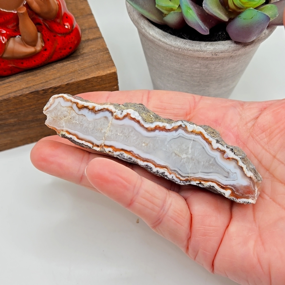 Moroccan Agate Face-Polished Half Nodule